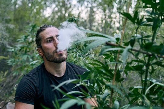 Liquidy alerta sobre los cigarrillos electronicos en embarazo y ofrece alternativas seguras para futuras madres